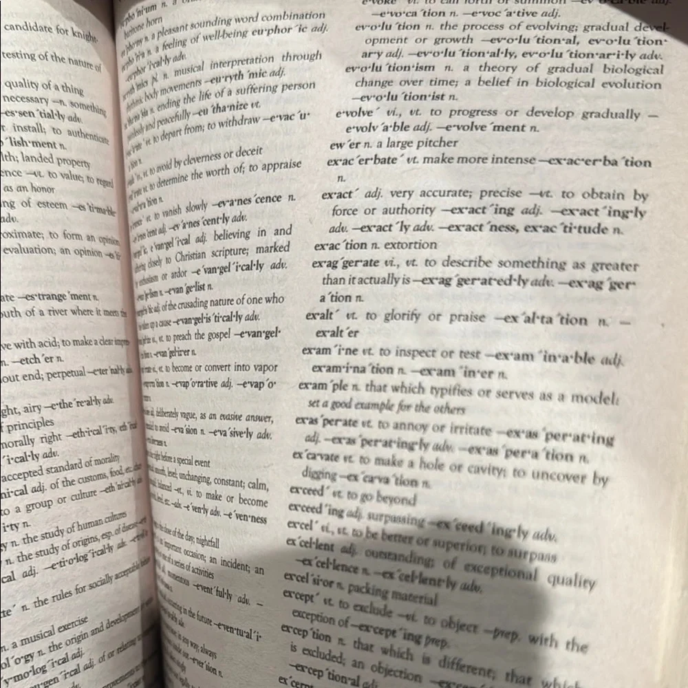 🌸Standard Dictionary - Picture 3 of 5